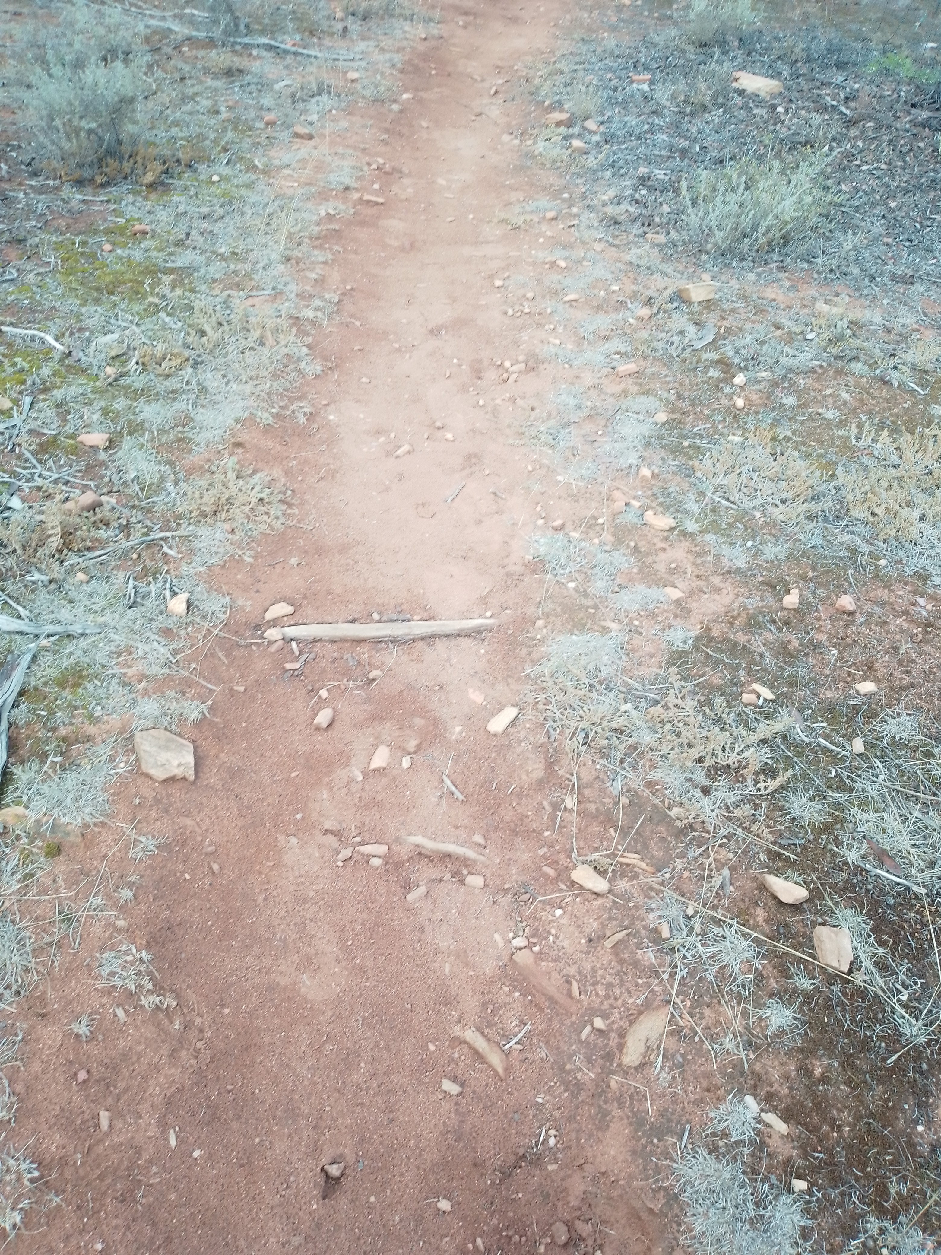 start of trail